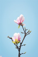 奇門遁甲時辰六旬與遁甲格局