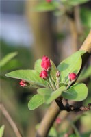 【奇門遁甲學習筆記】遁甲滴雲錄（一）